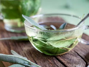 فوائد عشبة الميرمية في تخفيف الهبّات الساخنة أثناء سن اليأس فوائد عشبة الميرمية في تخفيف الهبّات الساخنة أثناء سن اليأس