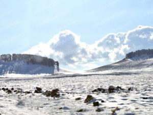 المديرية العامة للأرصاد الجوية تُعلن عن تساقطات ثلجية مرتقبة في بعض مناطق المملكة المديرية العامة للأرصاد الجوية تُعلن عن تساقطات ثلجية مرتقبة في بعض مناطق المملكة