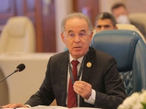 رئاسة النيابة العامة تعلن تعيين أحمد والي علمي ككاتب عام