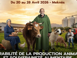 مكناس تحتضن الدورة الثامنة عشرة للمعرض الدولي للفلاحة : نحو استدامة الإنتاج الحيواني والسيادة الغذائية مكناس تحتضن الدورة الثامنة عشرة للمعرض الدولي للفلاحة : نحو استدامة الإنتاج الحيواني والسيادة الغذائية