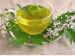 الناردين (Valériane) وفوائده في تحسين النوم وتقليل التوتر الناردين (Valériane) وفوائده في تحسين النوم وتقليل التوتر