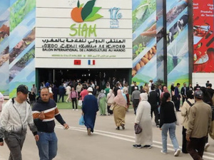 المغرب يختار البرتغال ضيفة شرف الدورة الثامنة عشرة لمعرض مكناس الدولي للفلاحة المغرب يختار البرتغال ضيفة شرف الدورة الثامنة عشرة لمعرض مكناس الدولي للفلاحة