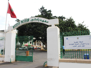 تعيين الدكتورة عهد أولاد الحسن على رأس معهد باستور تعيين الدكتورة عهد أولاد الحسن على رأس معهد باستور