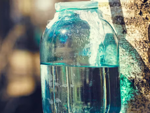 سائل البتولا: مشروب الربيع الطبيعي لتعزيز الصحة سائل البتولا: مشروب الربيع الطبيعي لتعزيز الصحة