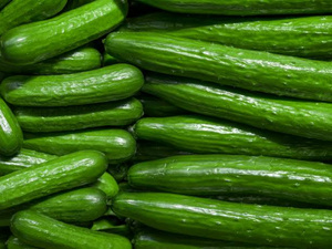 المغرب يسيطر على 72% من واردات إسبانيا من الخيار سنة 2025 المغرب يسيطر على 72% من واردات إسبانيا من الخيار سنة 2025