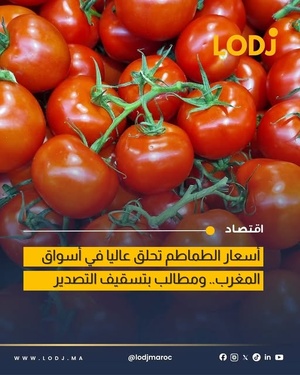 ارتفاع أسعار الطماطم بالمغرب يصل إلى 14 درهماً للكيلوغرام
