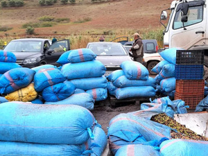المغرب يعزز حماية البيئة الصناعية عبر دعم مالي وتأهيل بيئي للمقاولات