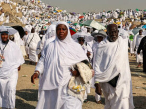 تنظيم موسم الحج بالمغرب: أرقام مضبوطة وتدابير لتحسين جودة الخدمات تنظيم موسم الحج بالمغرب: أرقام مضبوطة وتدابير لتحسين جودة الخدمات