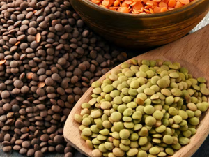 العدس بين الفوائد الغذائية وتأثيراته الليلية: غذاء صحي يحتاج إلى توازن في الاستهلاك العدس بين الفوائد الغذائية وتأثيراته الليلية: غذاء صحي يحتاج إلى توازن في الاستهلاك