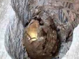 اكتشاف أثري استثنائي في صعيد مصر: مومياوات بألسنة ذهبية تكشف أسرار العصر الروماني