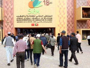 مكناس تحتضن 1.1 مليون زائر و1500 عارض في الدورة 18 للملتقى الدولي للفلاحة