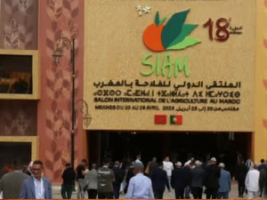 إطلاق قطب Agri-Digital بـ SIAM 2026: خطوة جديدة نحو رقمنة الفلاحة المغربية إطلاق قطب Agri-Digital بـ SIAM 2026: خطوة جديدة نحو رقمنة الفلاحة المغربية