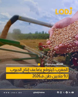 المغرب يتوقع إنتاج 9 ملايين طن من الحبوب خلال موسم 2026