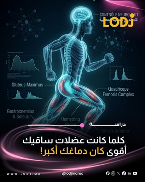 العلاقة بين النشاط البدني وصحة الدماغ: حقائق علمية