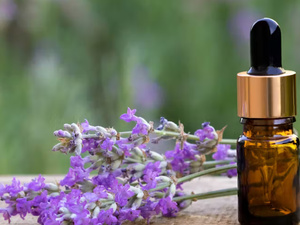 الخُزامى السِّبِيك (Lavande aspic): زيت عطري طبيعي متعدد الفوائد للعناية بالبشرة الخُزامى السِّبِيك (Lavande aspic): زيت عطري طبيعي متعدد الفوائد للعناية بالبشرة