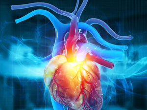 لماذا يُعدّ سرطان القلب نادراً؟ دراسة علمية تكشف دور نبضات القلب في الحماية من الأورام