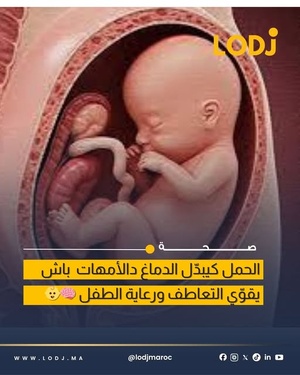 الحمل مرتبط بتعديلات في مناطق التعاطف والفهم الاجتماعي