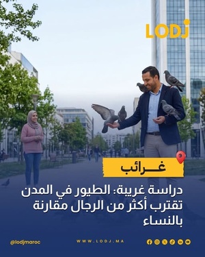 طيور المدن تسمح للرجال بالاقتراب أكثر مقارنة بالنساء وفق بحث أوروبي