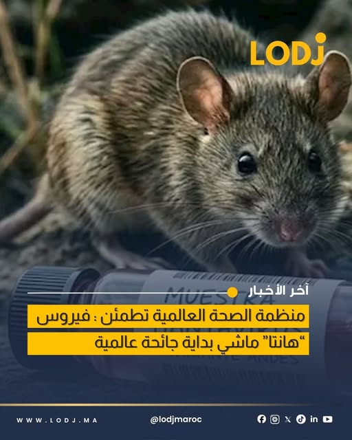 منظمة الصحة العالمية تؤكد أن فيروس هانتا لا يشكل بداية جائحة عالمية