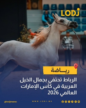 الرباط تحتفي بجمال الخيل العربية في كأس الإمارات العالمي