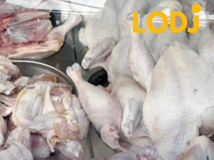 بعد حجز الدجاج الفاسد.. حملات مراقبة واسعة بأسواق جهة طنجة لحماية المستهلك