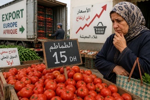 الطماطم المغربية: حين تُفرغ الصادرات سلة المستهلك