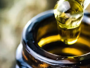 دراسة علمية: هل يمكن لـ CBD أن يساهم في تهدئة التهابات الدماغ المرتبطة بمرض ألزهايمر؟ دراسة علمية: هل يمكن لـ CBD أن يساهم في تهدئة التهابات الدماغ المرتبطة بمرض ألزهايمر؟