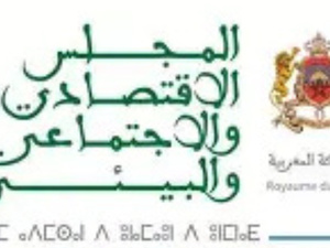 المجلس الاقتصادي والاجتماعي والبيئي يدعو إلى إصلاح عاجل للتكوين المستمر في القطاع الخاص