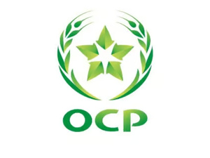 مجموعة OCP تستعد لعملية تمويل جديدة بقيمة 5 مليارات درهم لدعم توسعها الصناعي مجموعة OCP تستعد لعملية تمويل جديدة بقيمة 5 مليارات درهم لدعم توسعها الصناعي