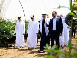 "إيليت هارفست المغرب" تعزز استثماراتها الفلاحية بضيعة جديدة للقنيطرة وتراهن على ريادة سوق الفواكه الحمراء
