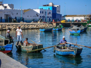 تراجع كميات الصيد الساحلي بميناء المضيق بنسبة 30% نهاية ماي 2026 تراجع كميات الصيد الساحلي بميناء المضيق بنسبة 30% نهاية ماي 2026