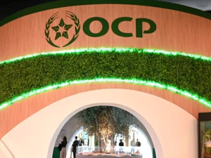 مجموعة OCP تنجح في تعبئة 5 مليارات درهم عبر إصدار سندات دائمة لتعزيز تمويلاتها طويلة الأمد مجموعة OCP تنجح في تعبئة 5 مليارات درهم عبر إصدار سندات دائمة لتعزيز تمويلاتها طويلة الأمد