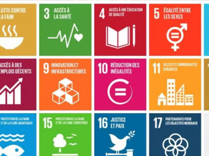 تقرير أممي: تقدم ملموس في أهداف التنمية المستدامة.. لكن العالم لا يزال بعيداً عن تحقيق أجندة 2030