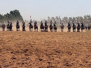 حين تنطق الخيول بلسان التراث