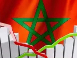 العلامات المحلية في المغرب.. حين يتحول القرب من المستهلك إلى قوة تنافسية