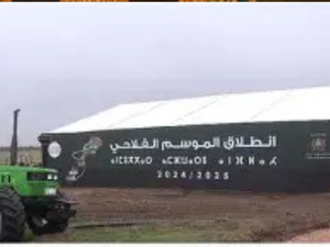 المغرب يستقبل الموسم الفلاحي الجديد بأفضل مخزون مائي منذ عقد