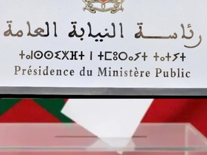 انتخابات 2026 : 93 شكاية أمام النيابة العامة.. والجرائم الرقمية في الواجهة