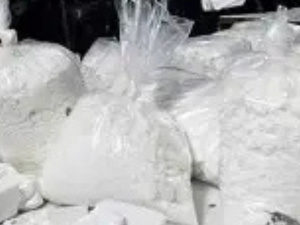 شبكات المخدرات بأمريكا اللاتينية توسّع نفوذها في إفريقيا.. من عبور الكوكايين إلى تنويع الأنشطة الإجرامية