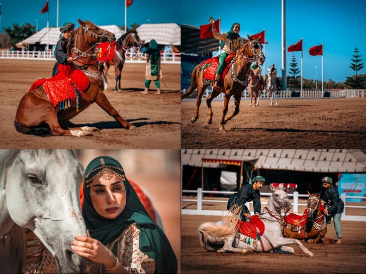 الخيالة السلطانية لسلطنة عُمان تشارك لأول مرة في معرض الفرس بالجديدة الخيالة السلطانية لسلطنة عُمان تشارك لأول مرة في معرض الفرس بالجديدة