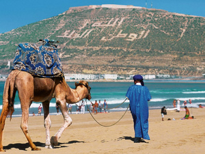 السياحة ترفع مساهمتها في الاقتصاد المغربي إلى 7,5% خلال 2025 السياحة ترفع مساهمتها في الاقتصاد المغربي إلى 7,5% خلال 2025