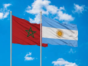 العجز التجاري للمغرب مع الأرجنتين يصل إلى 4,61 مليار درهم في الأشهر التسعة الأولى من سنة 2026