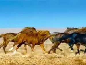 الحصون الإيبيرية المنسية على السواحل المغربية.. من زمن الغزو إلى استعادة الأرض والذاكرة