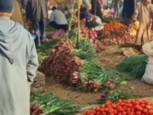 المغرب يخصص مليار درهم لتحديث 12 سوقًا للجملة وتعزيز كفاءة توزيع المواد الغذائية
