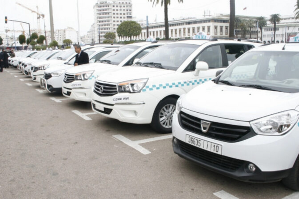 النقل البري: الموجة السابعة من الدعم الاستثنائي للمهنيين في هذا القطاع