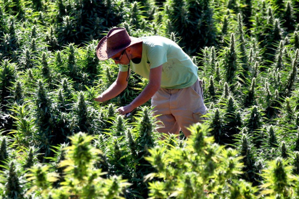 ميثاق إفريقي للحد من المخاطر الصحية  وتعزيز التضامن والتعاون في خدمة الأمن الصحي ميثاق إفريقي للحد من المخاطر الصحية  وتعزيز التضامن والتعاون في خدمة الأمن الصحي