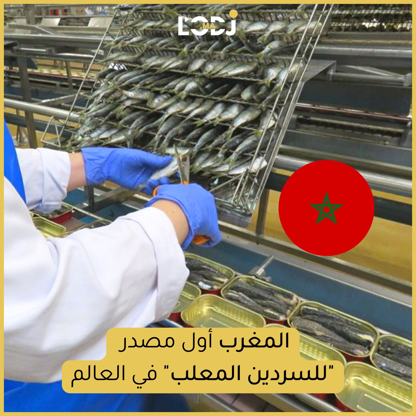 المغرب أول مصدر "للسردين المعلب" في العالم