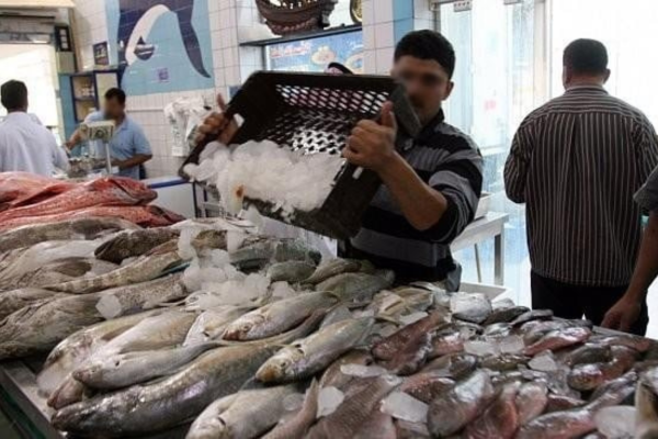 جولة بأحد أسواق بيع الأسماك بتامسنا