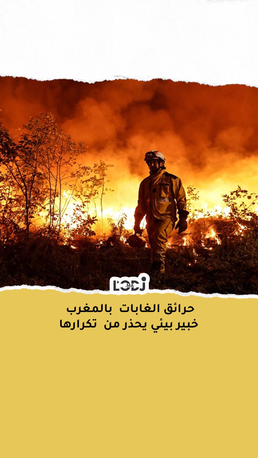 تحذير حرائق الغابات  بالمغرب 