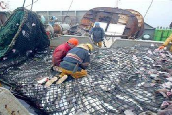 وفاة عمّال داخل وحدة إنتاجية لتعليب السمك بالداخلة