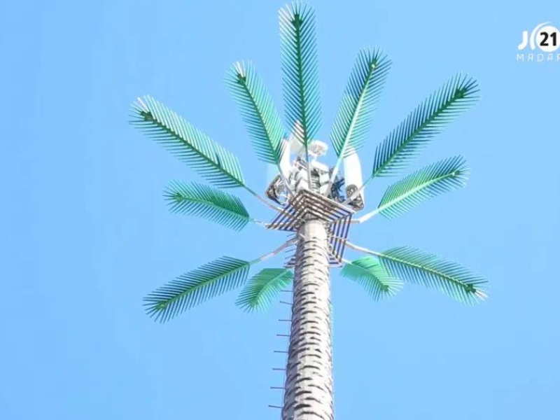 تركيب لاقط جديد لأورانج بحي بمراكش يفزع الساكنة “تحيط بنا 5 لواقط ونطالب بتدخل المسؤولين” تركيب لاقط جديد لأورانج بحي بمراكش يفزع الساكنة “تحيط بنا 5 لواقط ونطالب بتدخل المسؤولين”